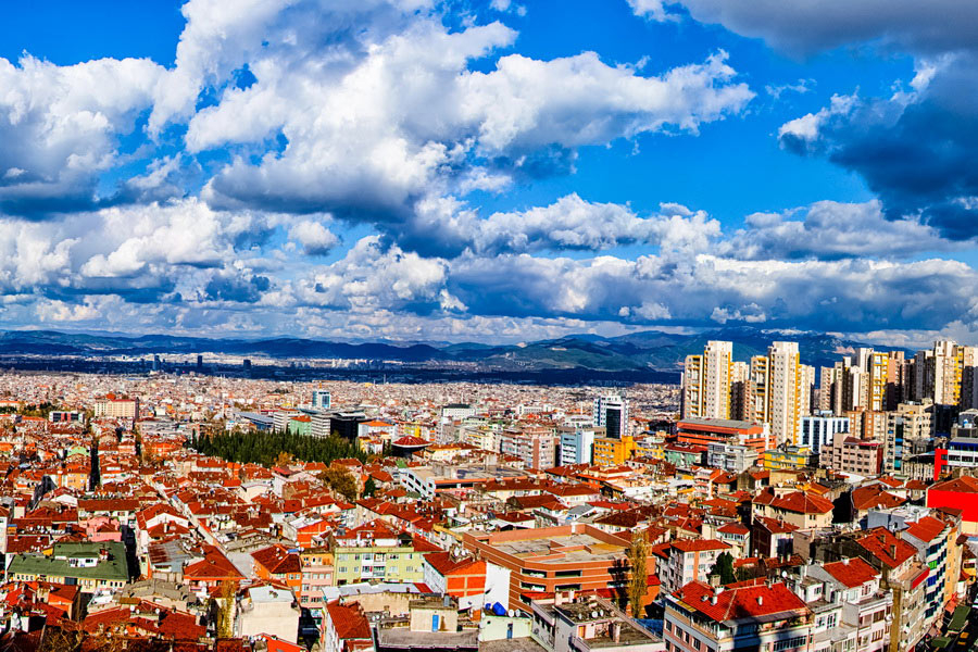 Bursa